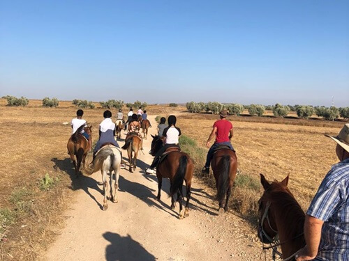 החווה הצ'רקסית